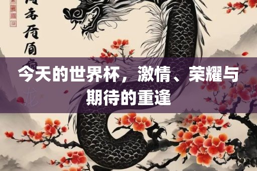 今天的世界杯，激情、荣耀与期待的重逢漯河市盈旭机械设备有限公司