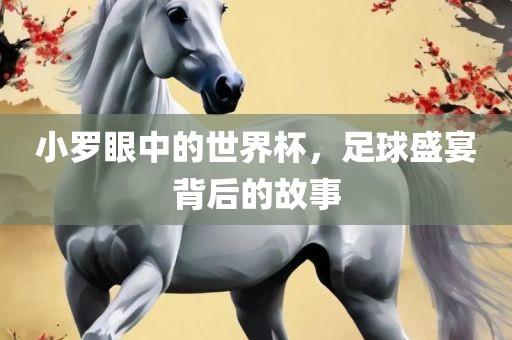 小罗眼中的世界杯，足球盛宴背漯河市盈旭机械设备有限公司后的故事