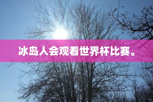 冰岛人会观看世界杯比赛。