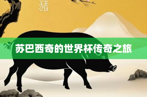 苏巴西奇的世界杯传奇之旅