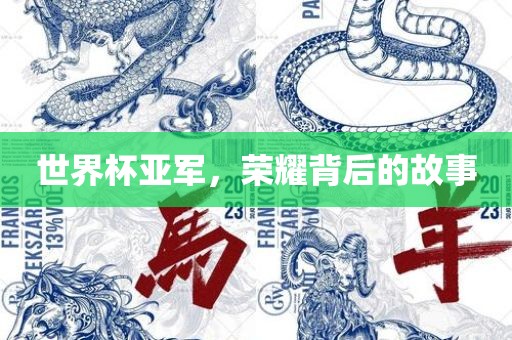 世界杯亚军，荣耀背后的故事