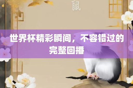 世界杯精彩瞬间，不容错过的完整回播