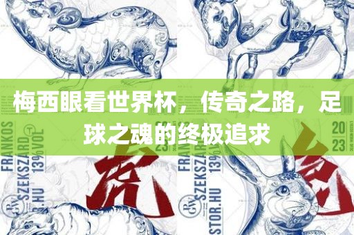 梅西眼看世界杯，传奇之路，足球之魂的终极追求