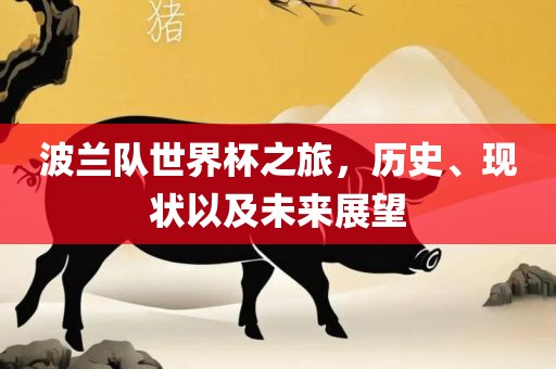 波兰队世界杯之旅，历史、现状以及未来展望