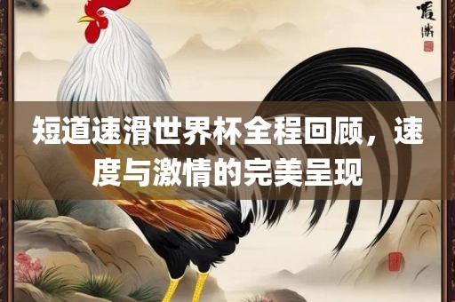 短道速滑世界杯全程回顾，速度与激情的完美呈现