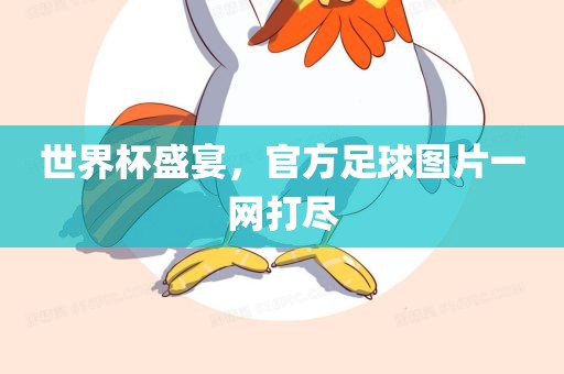 世界杯盛宴，官方足球图片一网打尽