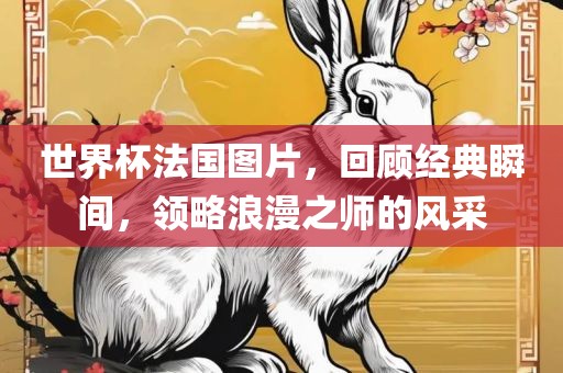 世界杯法国图片，回顾经典瞬间，领略浪漫之师的风采
