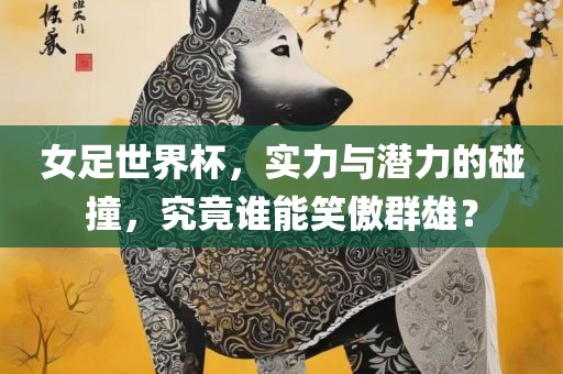 女足世界杯，实力与潜力的碰撞，究竟谁能笑傲群雄？