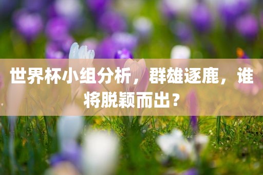 世界杯小组分析，群雄逐鹿，谁将脱颖而出？