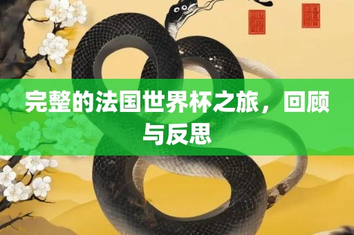 完整的法国世界杯之旅，回顾与反思