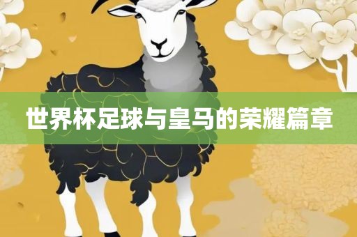 世界杯足球与皇马的荣耀篇章漯河市盈旭机械设备有限公司