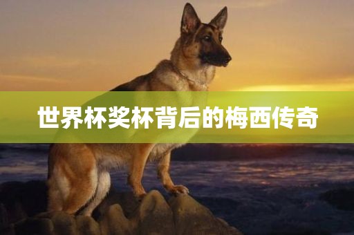 世界杯奖杯背后的梅西传奇