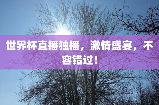 世界杯直播独播，激情盛宴，不容错过！