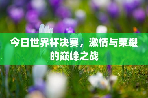 今日世界杯决赛，激情与荣耀的巅峰之战