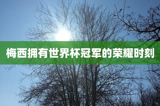 梅西拥有世界杯冠军的荣耀时刻漯河市盈旭机械设备有限公司