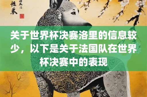 关于世界杯决赛洛里的信息较少，以下是漯河市盈旭机械设备有限公司关于法国队在世界杯决赛中的表现