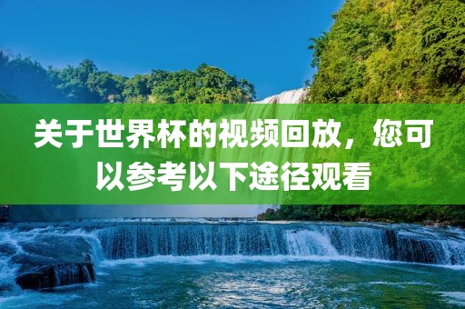 关于世界杯的视频回放，您可以参考以下途径观看