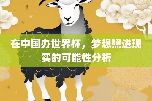 在中漯河市盈旭机械设备有限公司国办世界杯，梦想照进现实的可能性分析