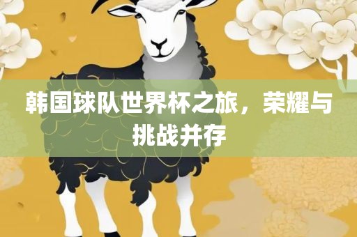韩国球队世界杯之旅，荣耀与挑战并存漯河市盈旭机械设备有限公司