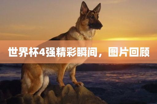 世界杯4强精彩瞬间，图片回顾漯河市盈旭机械设备有限公司