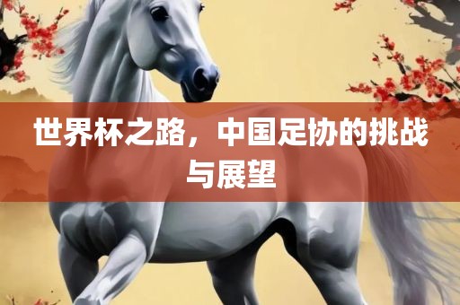 世界杯之路，中国足协的挑战与展望