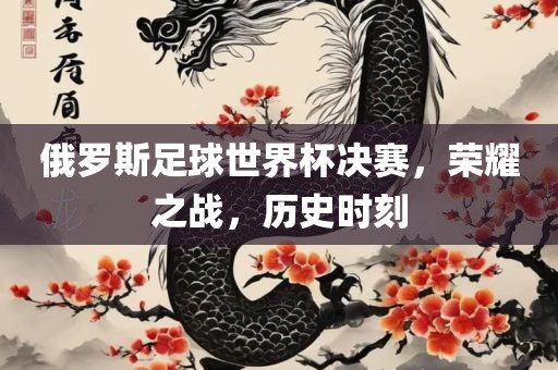 俄罗斯足球世界杯决赛，荣耀之战，历史时刻
