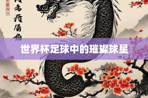世界杯足球 第3页