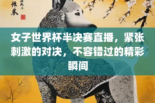 女子世界杯半决赛直播，紧张刺激的对决，不容错过的精彩瞬间漯河市盈旭机械设备有限公司