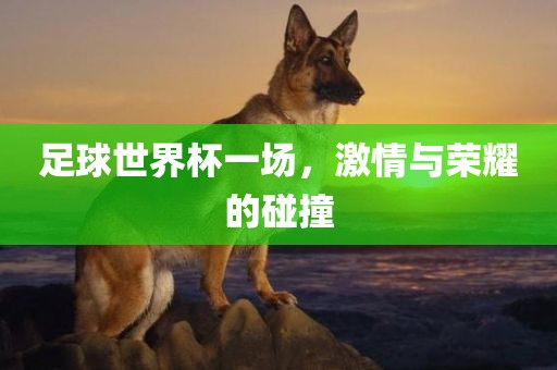 足球世界杯一场，激情与荣耀的碰撞