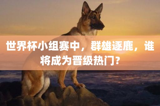 世界杯小组赛中，群雄逐鹿，谁将成为晋级热门？