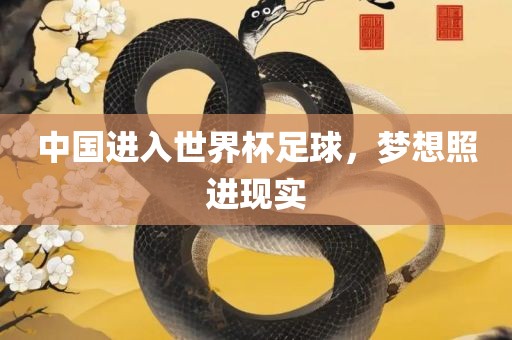 中国进入世界杯足球，梦想照进现实漯河市盈旭机械设备有限公司