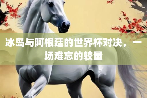 冰岛与阿根廷的世界杯对决，一场难忘的较量漯河市盈旭机械设备有限公司