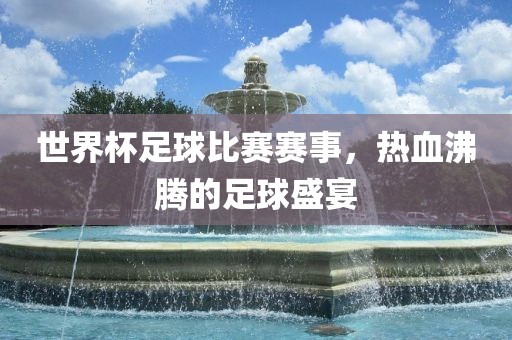 世界杯足球比赛赛事，热血沸腾的足球盛宴