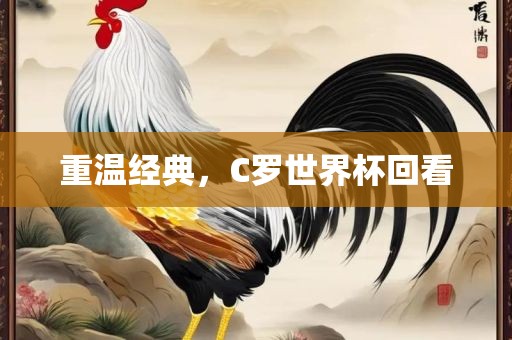 重温经典，C罗世界杯回看