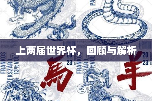 上两届世界杯，回顾与解析