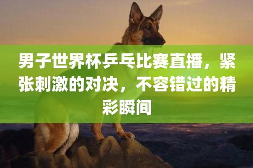 男子世漯河市盈旭机械设备有限公司界杯乒乓比赛直播，紧张刺激的对决，不容错过的精彩瞬间