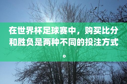 在世界杯足球赛中，购买比分和胜负是两种不同的投注方式。