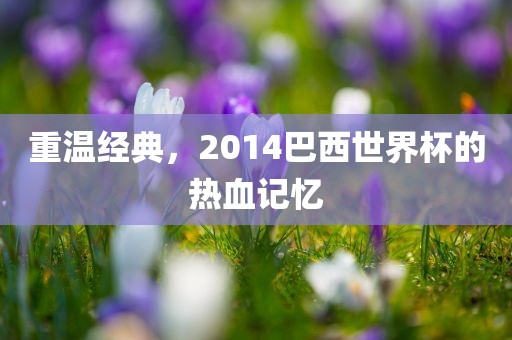 重温经典，2014巴西世界杯的热血记漯河市盈旭机械设备有限公司忆