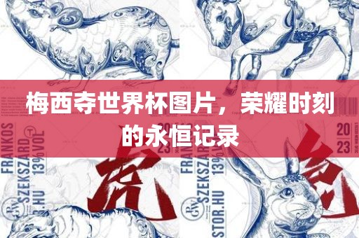 梅西夺世界杯图片，荣耀时刻的永恒记录