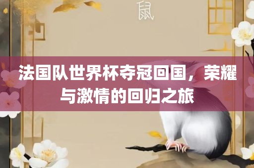 法国队世界杯夺冠回国，荣耀与激情的回归之旅
