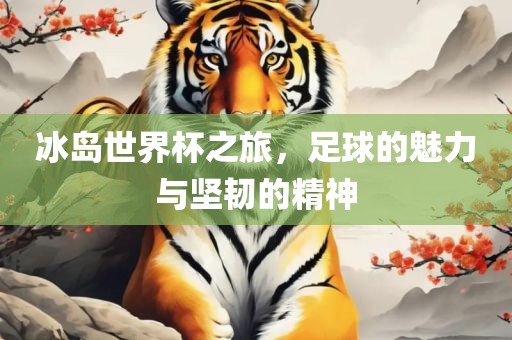 冰岛世界杯之旅，足球的魅力与坚韧的精神