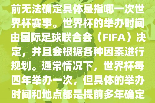 关于下一站世界杯的信息，目前无法确定具体是指哪一次世界杯赛事。世界杯的举办时间由国际足球联合会（FIFA）决定，并且会根据各种因素进行规划。通常情况下，世界杯每四年举办一次，但具体的举办时间和地点都是提前多年确定的。