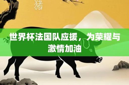 世界杯法国队应援，为荣耀与激情加油