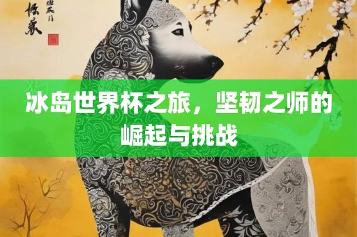 冰岛世界杯之旅，坚韧之师的崛起与挑战