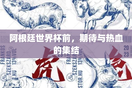 阿根廷世界杯前，期待与热血的集结