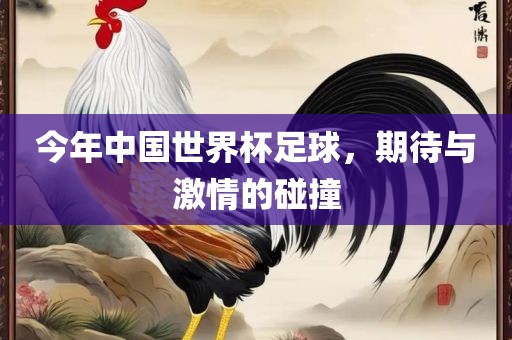 今年中国世界杯足球，期待与激情的碰撞