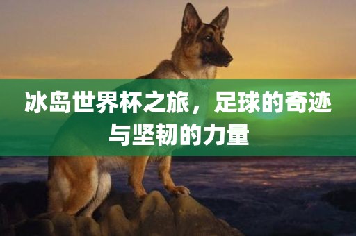 冰岛世界杯之旅，足球的奇迹与坚韧的力量