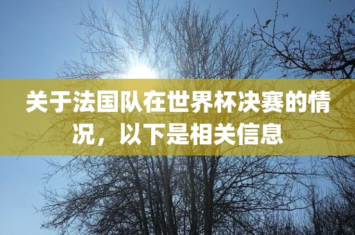 关于法国队在世界杯决赛的情况，以下是相关信息