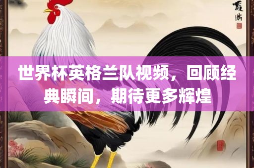世界杯英格兰队视频，回顾经典瞬间，期待更多辉煌漯河市盈旭机械设备有限公司