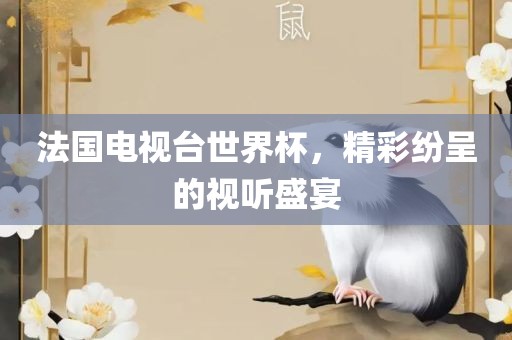 法国电视台世界杯，精彩纷呈的视听盛宴